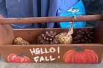 Sale Photo Thumbnail #4