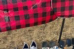 Sale Photo Thumbnail #12