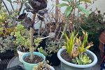 Sale Photo Thumbnail #14