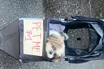 Sale Photo Thumbnail #8