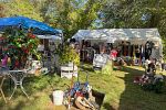 Sale Photo Thumbnail #14
