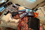 Sale Photo Thumbnail #46