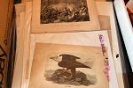 Sale Photo Thumbnail #23