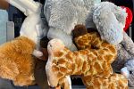 Sale Photo Thumbnail #10