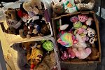 Sale Photo Thumbnail #12