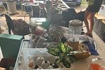 Sale Photo Thumbnail #25
