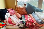 Sale Photo Thumbnail #13