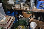 Sale Photo Thumbnail #18