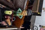 Sale Photo Thumbnail #40