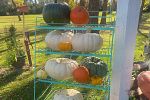 Sale Photo Thumbnail #20