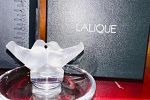 Sale Photo Thumbnail #32