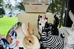 Sale Photo Thumbnail #91
