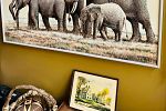 Sale Photo Thumbnail #96