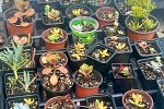 Sale Photo Thumbnail #7
