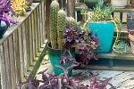 Sale Photo Thumbnail #9