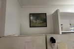 Sale Photo Thumbnail #24