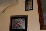 Sale Photo Thumbnail #29