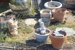 Sale Photo Thumbnail #10