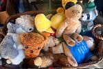 Sale Photo Thumbnail #18