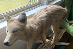 Sale Photo Thumbnail #19