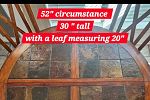 Sale Photo Thumbnail #15