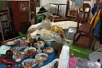 Sale Photo Thumbnail #7
