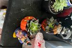 Sale Photo Thumbnail #4