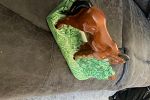 Sale Photo Thumbnail #17