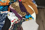 Sale Photo Thumbnail #15