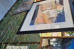 Sale Photo Thumbnail #17