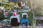 Sale Photo Thumbnail #8