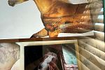 Sale Photo Thumbnail #26