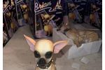 Sale Photo Thumbnail #30