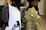 Sale Photo Thumbnail #37
