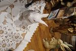 Sale Photo Thumbnail #13