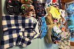 Sale Photo Thumbnail #19