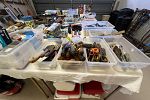 Sale Photo Thumbnail #76