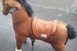 Sale Photo Thumbnail #10