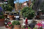 Sale Photo Thumbnail #9