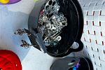 Sale Photo Thumbnail #4