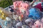 Sale Photo Thumbnail #2