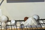 Sale Photo Thumbnail #106