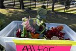 Sale Photo Thumbnail #13