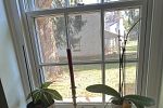 Sale Photo Thumbnail #17