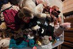 Sale Photo Thumbnail #8