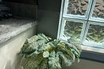Sale Photo Thumbnail #256