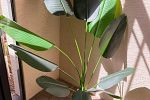 Sale Photo Thumbnail #398