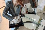 Sale Photo Thumbnail #416