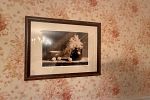 Sale Photo Thumbnail #20