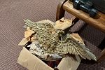 Sale Photo Thumbnail #48
